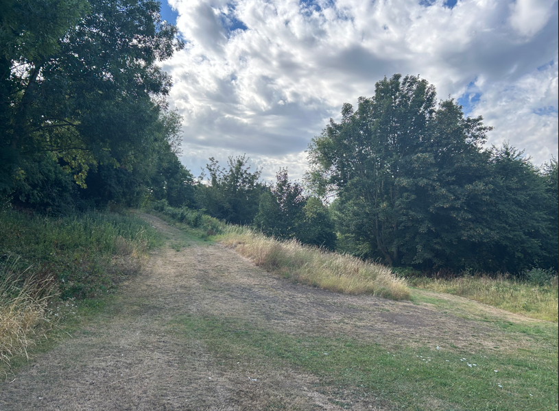 : Image of the currently closed section of Lansdowne Valley Park (former pitch and putt course), looking southwards