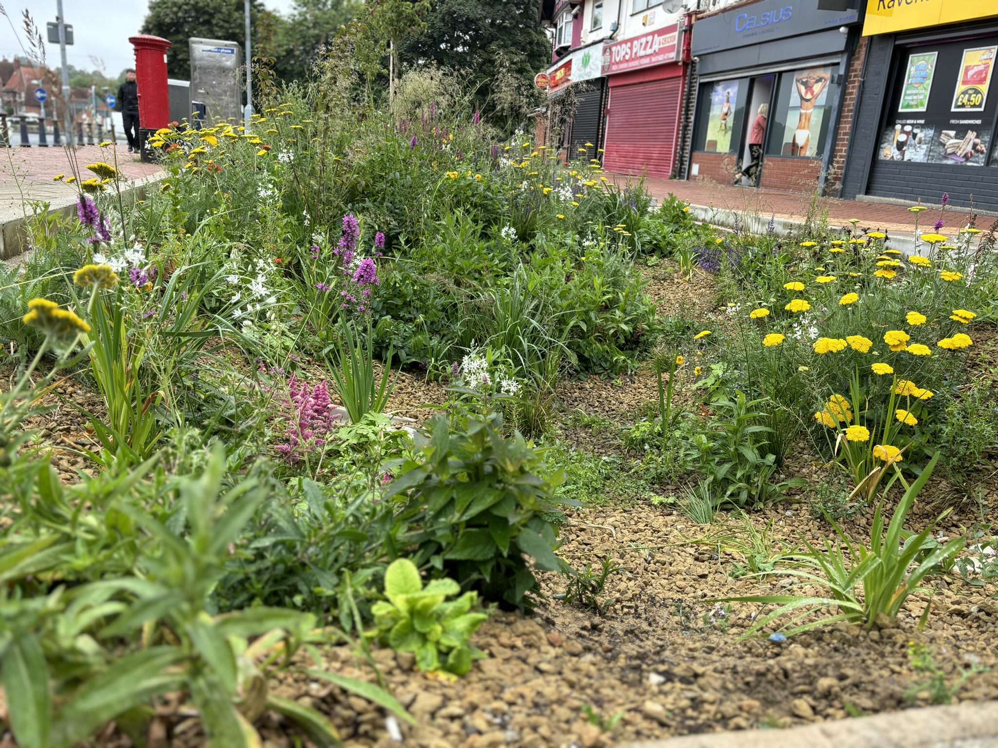 Sustainable Drainage and plangting outside local businesses in Mansefield. Source: AECOM