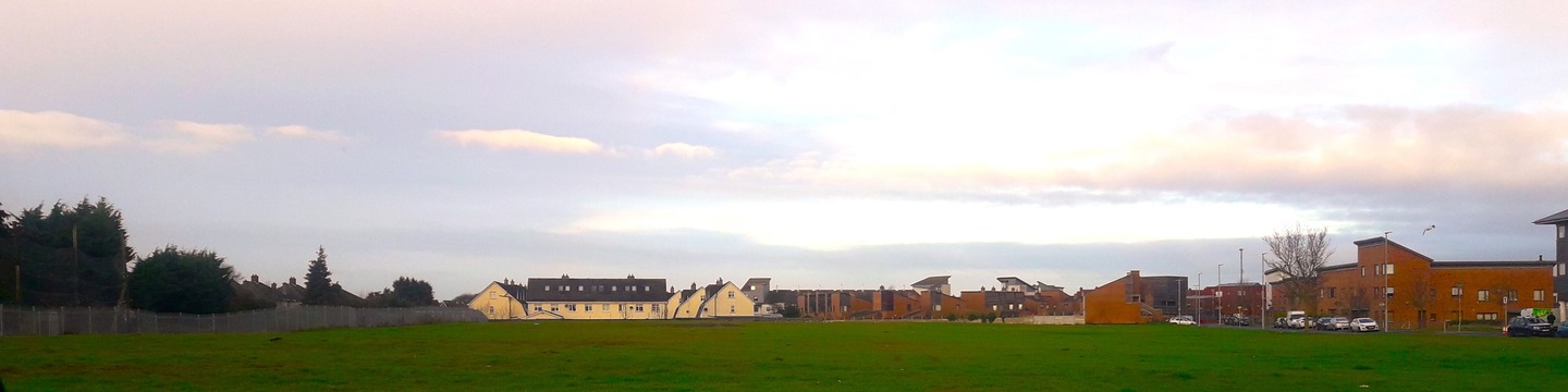 View of site looking west showing grass and existing housing in the background