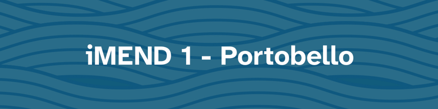 Image showing blue background with darker blue waves with project title (iMEND 1 - Portobello) in white text in the middle.