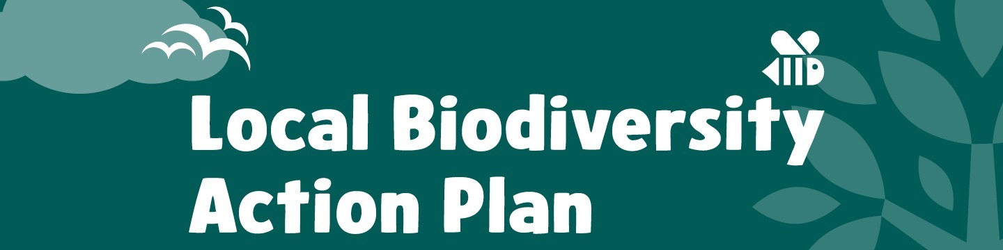 Local Biodiverstiy Action Plan