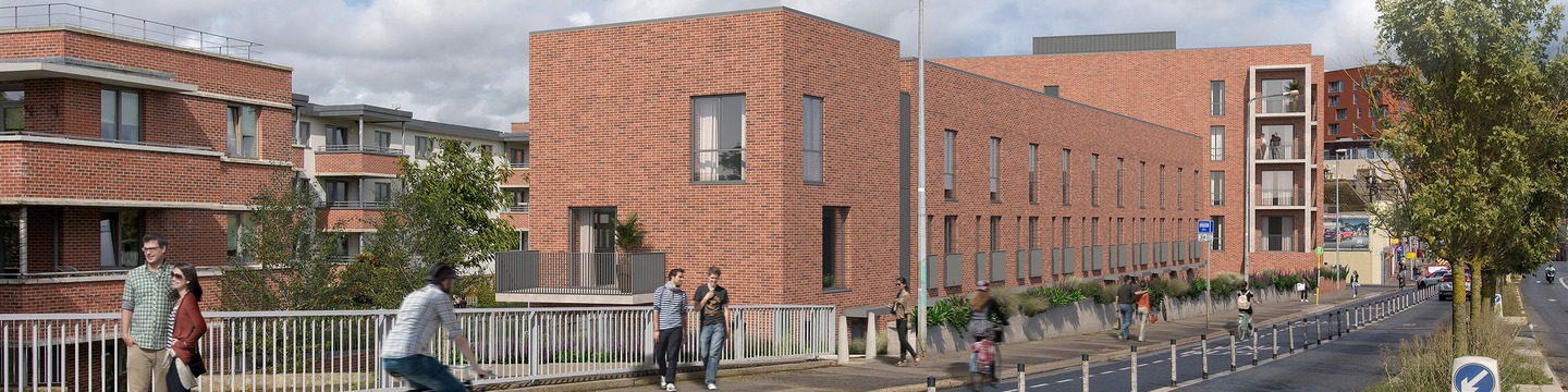Dolphin's Barn road view Housing development