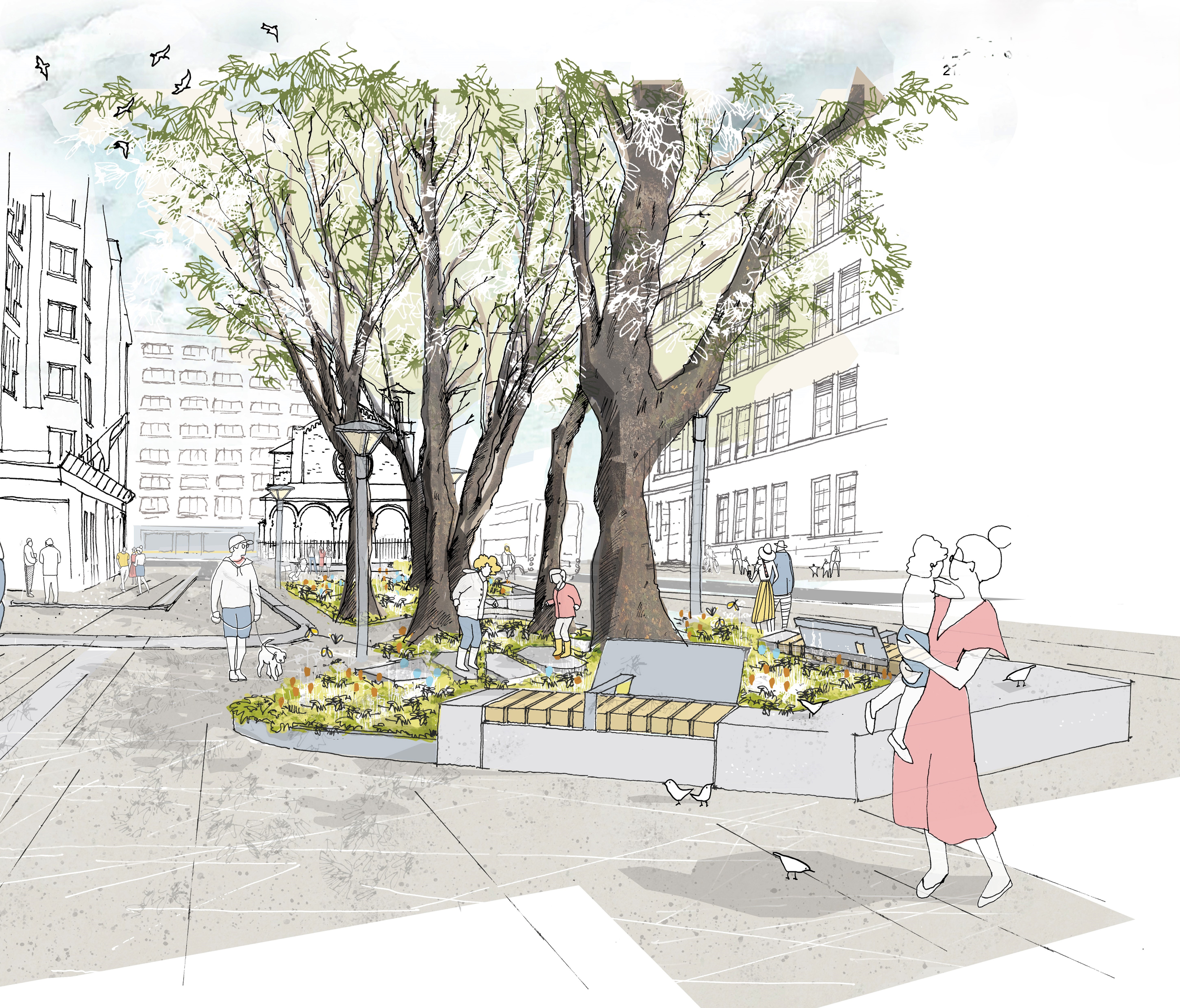 An illustration of the proposed scheme showing the existing trees and new paving, planting, lighting and public seating.