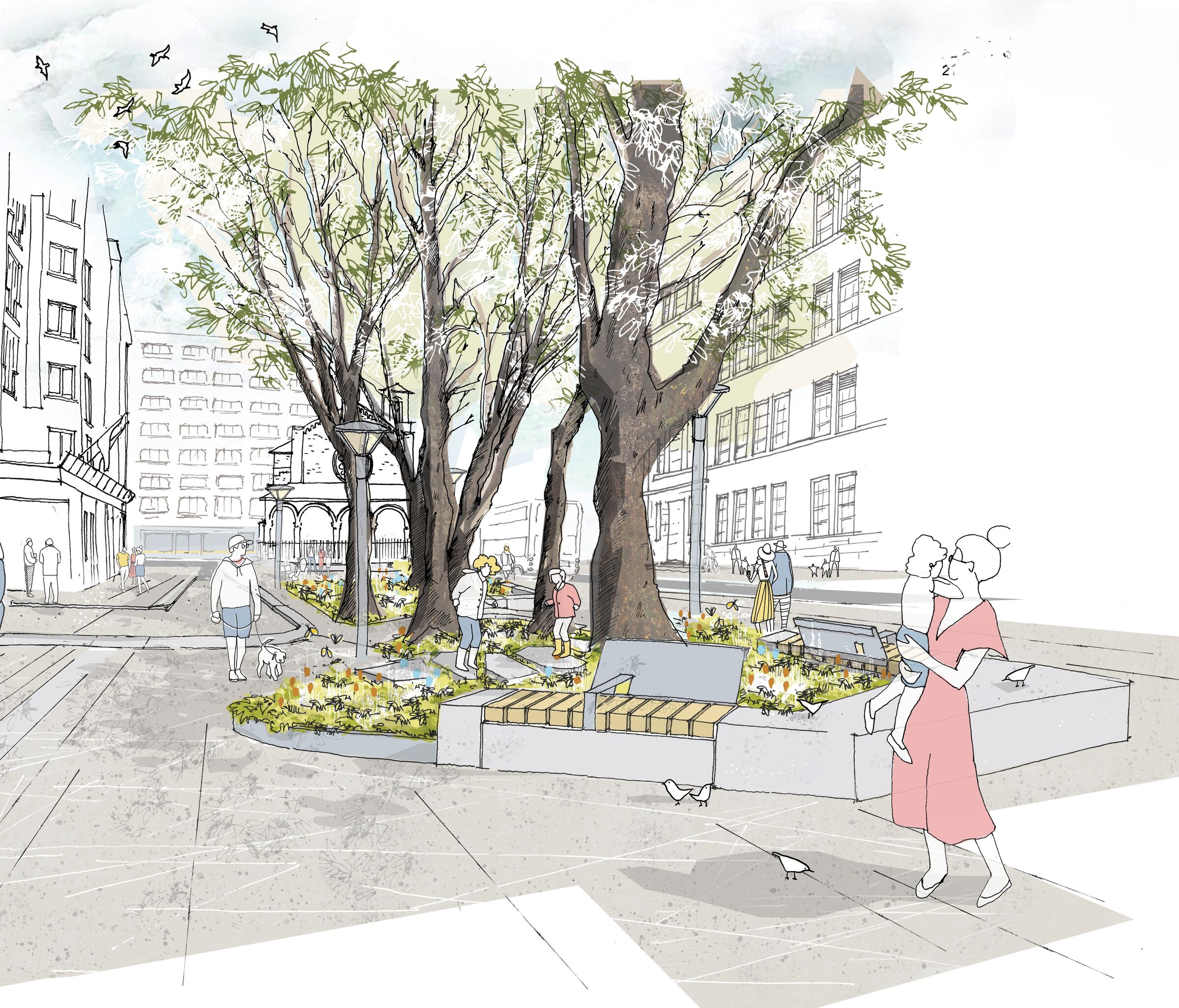 An illustration of the proposed scheme showing the existing trees and new paving, planting, lighting and public seating.